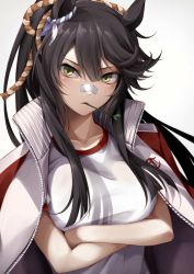 Rule 34 | 1girl, animal ears, arms under breasts, bandaid, bandaid on face, bandaid on nose, black hair, blush, breasts, collarbone, crossed arms, green eyes, grey background, gym uniform, hair between eyes, highres, horse ears, jacket, jacket on shoulders, large breasts, long hair, looking at viewer, mouth hold, narita brian (umamusume), shirt, solo, stalk in mouth, takagi mitsukuni, track jacket, umamusume, upper body, v-shaped eyebrows, white shirt
