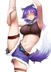 Rule 34 | 1girl, absurdres, animal ear fluff, animal ears, armpits, black shirt, blush, breasts, collar, commentary request, cowboy shot, crop top, flexible, frown, fur-trimmed shorts, fur trim, groin, hair between eyes, highres, kneepits, large breasts, leg belt, leg lift, long hair, looking at viewer, makoto (princess connect!), meme, metal collar, midriff, navel, nose blush, parted lips, princess connect!, purple hair, purple shorts, shirt, short shorts, shorts, sidelocks, simple background, sleeveless, sleeveless shirt, solo, split, standing, standing on one leg, standing split, sweat, tail, underbust, usagits 00, white background, wolf ears, wolf tail, yellow eyes