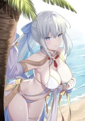 Rule 34 | 1girl, bare shoulders, bikini, blue eyes, blush, braid, breasts, cleavage, detached sleeves, fate/grand order, fate (series), french braid, gold trim, hair ornament, highres, large breasts, long hair, long sleeves, looking at viewer, morgan le fay (fate), morgan le fay (water princess) (fate), natu zame, navel, outdoors, pabst blue ribbon, ponytail, puffy long sleeves, puffy sleeves, red brooch, red tassel, ribbon, solo, swimsuit, thighlet, white bikini, white swimsuit, yellow ribbon