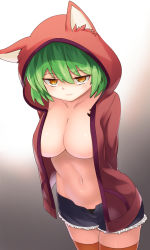 Rule 34 | 10s, 1girl, animal ears, arms behind back, black panties, breasts, brown thighhighs, cat ears, center opening, closed mouth, coat, collarbone, cowboy shot, cowfee, cutoffs, expressionless, eyebrows, green hair, groin, hair between eyes, half-closed eyes, highres, hikage (senran kagura), hood, hoodie, jacket, large breasts, leaning forward, long sleeves, looking at viewer, naked coat, navel, open clothes, open hoodie, panties, senran kagura, short hair, short shorts, shorts, slit pupils, solo, stomach, thighhighs, underwear, yellow eyes