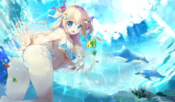 Rule 34 | 1girl, :d, ass, bare shoulders, bikini, blonde hair, blue bikini, blue eyes, blush, bow, breasts, cameltoe, cat hair ornament, cleavage, collarbone, commentary request, coral, day, dolphin, fang, fish, fish request, flower, hair between eyes, hair bow, hair flower, hair ornament, heart, heart hair ornament, highres, large breasts, long hair, mikeou, open mouth, original, outdoors, red bow, school of fish, side-tie bikini bottom, smile, solo, swimsuit, two side up, underwater, very long hair, water, white flower, wrist cuffs, x hair ornament