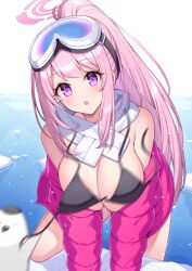 Rule 34 | animal, bikini, bird, black bikini, blue archive, blush, breasts, cleavage, day, eimi (blue archive), eimi (swimsuit) (blue archive), goggles, goggles on head, halo, highres, jacket, large breasts, long hair, long sleeves, looking at viewer, official alternate costume, official alternate hairstyle, open clothes, open jacket, open mouth, outdoors, penguin, pink eyes, pink hair, pink halo, pink jacket, ponytail, scarf, swimsuit, t@ke-g, very long hair, white scarf