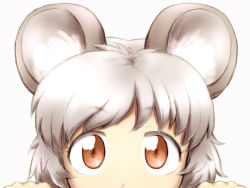 Rule 34 | 1girl, animal ears, close-up, female focus, grey hair, mouse ears, nazrin, peeking out, red eyes, shirosato, short hair, simple background, solo, touhou, white background