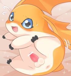 Rule 34 | anus, blush, censored, digimon, digimon (creature), driosawm, embarrassed, highres, male focus, patamon, small penis, small testicles, sweatdrop, testicles