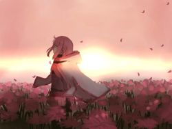 Rule 34 | 1girl, braid, cloak, closed mouth, commentary request, from side, hood, hood down, hooded cloak, long hair, looking afar, magia record: mahou shoujo madoka magica gaiden, mahou shoujo madoka magica, outdoors, pink background, pink eyes, pink hair, pink skirt, pink sky, pleated skirt, profile, skirt, sky, solo, standing, tamaki iroha, umiroku
