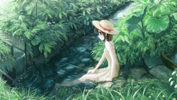 Rule 34 | 1girl, barefoot, brown eyes, brown hair, bush, closed mouth, commentary request, dated, day, dress, flower, food, fruit, full body, grass, hat, hat ribbon, highres, kajiji, looking at viewer, looking back, nature, original, outdoors, red ribbon, ribbon, river, rock, scenery, short hair, signature, sitting, sleeveless, sleeveless dress, smile, soaking feet, solo, sun hat, watermelon, white dress, white flower, yellow flower