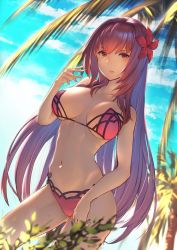 Rule 34 | 1girl, arm up, bikini, breasts, bush, cleavage, cloud, cloudy sky, collarbone, commentary request, day, fate/grand order, fate (series), flower, hair flower, hair intakes, hair ornament, hibiscus, highres, itaco, large breasts, long hair, looking at viewer, navel, ocean, open mouth, outdoors, palm tree, pink bikini, purple bikini, purple hair, red eyes, scathach (fate), scathach (fate), scathach (swimsuit assassin) (fate), sky, swimsuit, tree