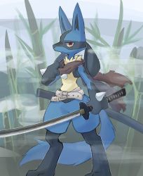 Rule 34 | 1boy, adjusting scarf, animal feet, animal hands, arm at side, belt, black fur, blue fur, body fur, brown scarf, closed mouth, clothed pokemon, creatures (company), day, expressionless, fog, furry, furry male, game freak, gen 4 pokemon, grass, hand up, highres, holding, holding sword, holding weapon, katana, looking at viewer, lucario, male focus, multicolored fur, nintendo, outdoors, pokemon, pokemon (creature), red eyes, scar, scar on face, scarf, sheath, snout, solo, spikes, standing, sukasshu (mroooo), sword, torn clothes, torn scarf, weapon, yellow fur