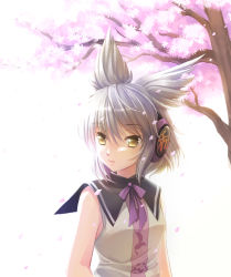 Rule 34 | 1girl, brown eyes, brown hair, capelet, cherry blossoms, earmuffs, headphones, looking away, open mouth, petals, pointy hair, purple ribbon, ribbon, short hair, sleeveless, smile, solo, sunlight, takatsukasa yue, touhou, toyosatomimi no miko, tree, white background