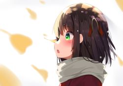 Rule 34 | 1girl, blurry, blurry background, blurry foreground, blush, brown hair, coat, commentary request, depth of field, from side, ginkgo tree, green eyes, hair ribbon, highres, looking away, on nose, one side up, open mouth, original, portrait, red coat, red ribbon, ribbon, ryu narb, scarf, simple background, solo, teeth, upper teeth only, white background, white scarf