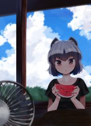 Rule 34 | alternate costume, animal ears, black shirt, blue hair, blush, casual, collarbone, commentary, common raccoon (kemono friends), electric fan, food, fruit, grey hair, highres, kemono friends, kinou no shika, looking at viewer, multicolored hair, orange eyes, raccoon ears, raccoon girl, shirt, short hair, short sleeves, solo, symbol-only commentary, t-shirt, watermelon