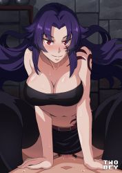 Rule 34 | 10s, 1boy, 1girl, aishela, blush, breasts, cleavage, clothed sex, cowgirl position, grancrest senki, happy sex, hetero, long hair, midriff, navel, pov, purple hair, red eyes, sex, skirt, straddling, twobey, vaginal