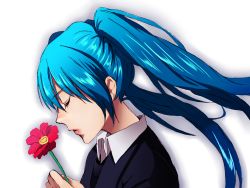 Rule 34 | 1girl, bad id, bad pixiv id, blue hair, closed eyes, female focus, flower, formal, gradient background, hatsune miku, long hair, minami haruya, portrait, saihate (vocaloid), simple background, solo, twintails, vocaloid, white background