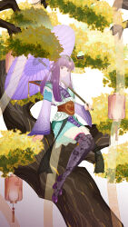 Rule 34 | 1girl, absurdres, closed mouth, expressionless, full body, hair ornament, highres, holding, holding umbrella, lantern, long hair, long sleeves, looking at viewer, purple hair, qinshi mingyue, shao siming (qin shi ming yue), sharlnagu, single hair ring, sitting, solo, streamers, thighhighs, tree, umbrella, veil, white background
