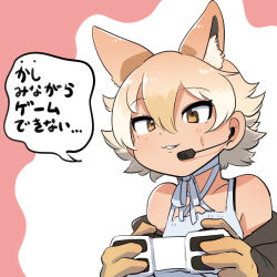 Rule 34 | 1girl, animal ears, black jacket, blonde hair, controller, coyote (kemono friends), extra ears, game controller, gloves, highres, jacket, kemono friends, kemono friends v project, mcgunngu, microphone, pink hair, shirt, short hair, simple background, solo, sweat, virtual youtuber, white shirt, wolf ears, wolf girl, yellow eyes