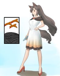 Rule 34 | 1girl, animal ears, bottle, brooch, brown hair, closed mouth, dress, full body, hanafuda, high heels, holding, holding bottle, imaizumi kagerou, jewelry, long hair, ponytail, red eyes, red footwear, sleeveless, solo, standing, tail, touhou, uisu (noguchipint), white dress, wolf ears, wolf tail