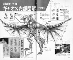 Rule 34 | 1boy, anatomy, artist request, biology, bone, brain, cell (biology), chart, chromosome, claws, cross-section, daiei film, diagram, emaciated, gamera: guardian of the universe, gamera (series), giant, giant monster, glasses, gyaos, heart, highres, intestines, japanese text, kadokawa, kaijuu, lungs, michiya (gamera), monochrome, monster, muscular, nagamine&#039;s colleague, no humans, official art, organs, ribs, scan, science, science fiction, scientist, skeleton, stomach, super gyaos, tail, teeth, translation request, wings, x-ray