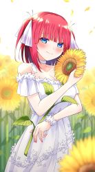 Rule 34 | 1girl, bare shoulders, blue eyes, blunt bangs, blush, breasts, butterfly hair ornament, choker, cleavage, collarbone, commentary request, cowboy shot, dress, field, flower, flower field, go-toubun no hanayome, hair ornament, hair ribbon, highres, holding, holding flower, large breasts, looking at viewer, multicolored nails, nail polish, nakano nino, pink hair, pink nails, profnote, ribbon, sidelocks, smile, solo, standing, summer, sundress, sunflower, sunflower field, sunflower petals, two side up, white background, white choker, white dress
