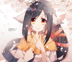 Rule 34 | 1girl, absurdly long hair, ainu clothes, animal ears, aquaplus, arms up, black hair, breasts, cherry blossoms, closed mouth, dress, eyelashes, finger to mouth, gradient eyes, gradient hair, hair between eyes, hair over one eye, hand on own chest, high ponytail, highres, io zata, kuon (utawarerumono), long fingers, long hair, long sleeves, looking at viewer, multicolored eyes, multicolored hair, orange eyes, orange scarf, petals, ponytail, raised eyebrows, scarf, sidelocks, signature, small breasts, smile, solo, swept bangs, translation request, upper body, utawarerumono, utawarerumono: itsuwari no kamen, very long hair