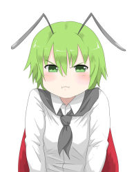 Rule 34 | 1girl, :i, androgynous, angry, antennae, blush, cape, female focus, green eyes, green hair, kieeyo, matching hair/eyes, pout, shirt, simple background, solo, touhou, upper body, white background, wriggle nightbug