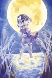 Rule 34 | 1girl, animal ears, barefoot, blush, brown eyes, brown hair, closed mouth, clothes lift, commentary request, dress, dress lift, expressionless, floppy ears, frilled sleeves, frills, from behind, full body, full moon, highres, inaba tewi, lifted by self, looking at viewer, looking back, moon, nagayo, night, outdoors, pink dress, puffy short sleeves, puffy sleeves, rabbit ears, rabbit girl, rabbit tail, reeds, short hair, short sleeves, solo, tail, touhou, wading, water