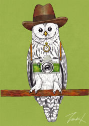 Rule 34 | animal, animal focus, bird, black eyes, branch, brown headwear, camera, clock, green background, hat, jewelry, looking at viewer, necklace, no humans, original, owl, signature, simple background, takigraphic