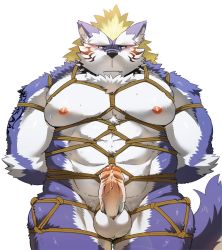 Rule 34 | 1boy, abs, alternate pectoral size, animal ears, arms behind back, bara, blonde hair, blue fur, blush, chest hair, completely nude, erection, feet out of frame, fenrir (housamo), fluffy, foreskin, furry, furry male, large pectorals, looking at viewer, male focus, mohawk, muscular, muscular male, nipples, nude, pectoral press, pectorals, penis, precum, rope, rossciaco, shibaro, skindentation, solo, stomach, thick eyebrows, thick thighs, thighs, tokyo houkago summoners, two-tone fur, uncensored, white fur, wolf boy, wolf ears