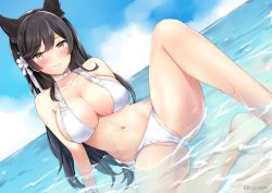 Rule 34 | 1girl, animal ears, artist name, atago (azur lane), atago (summer march) (azur lane), azur lane, bare legs, barefoot, bikini, blush, breasts, cameltoe, cleavage, closed mouth, collarbone, day, dutch angle, flower, hair flower, hair ornament, horizon, kaetzchen, large breasts, leaning back, long hair, mole, mole under eye, navel, outdoors, partially submerged, petals, sitting, smile, solo, spread legs, swimsuit, wet, white bikini, wristband, yellow eyes