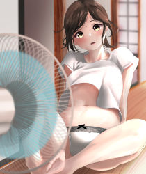 Rule 34 | 1girl, absurdres, blurry, blurry background, blush, bow, bow panties, breasts, brown eyes, brown hair, clothes lift, crotch seam, electric fan, highres, indoors, looking at viewer, on floor, open mouth, original, panties, shirt, shirt lift, short hair, small breasts, solo, stomach, sweat, swept bangs, tama (tamago), underwear, white panties, white shirt, wind, wind lift, wooden floor