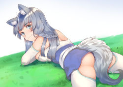 Rule 34 | animal ear fluff, animal ears, ass, bare shoulders, blunt bangs, blunt ends, braid, breasts, closed mouth, dress, elbow gloves, from behind, from side, gloves, grass, grey hair, hataage! kemono michi, highres, imori (lizzy), large breasts, light blush, long hair, looking at viewer, looking back, lying, off-shoulder dress, off shoulder, on grass, on stomach, outdoors, shigure (kemonomichi), short dress, sleeveless, sleeveless dress, smile, tail, thighhighs, white gloves, white thighhighs, wolf ears, wolf girl, wolf tail