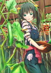 Rule 34 | 1girl, :d, aiuabo, bee, black eyes, black hair, bug, cherry tomato, clothes around waist, commentary request, cucumber, day, eggplant, flower, gloves, green nails, hair flower, hair ornament, hat, hat basket, highres, holding, holding clothes, holding hat, insect, long hair, looking at viewer, nail polish, open mouth, original, outdoors, overalls, plaid, plaid shirt, plant, red shirt, shirt, shirt around waist, short sleeves, smile, solo, striped clothes, striped shirt, tied sleeves, tomato, tomato plant, unworn gloves, unworn hat, unworn headwear, vines, white gloves