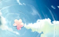 Rule 34 | cherry blossoms, cloud, highres, no humans, ripples, scenery, still life, wallpaper, water