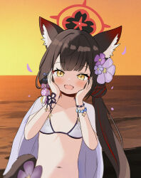 Rule 34 | 1girl, :d, alternate breast size, animal ears, beach, bikini, blue archive, blush, breasts, brown hair, fox ears, fox girl, fox tail, hair between eyes, halo, hands on own cheeks, hands on own face, hands up, happy, heeya, highres, long hair, looking at viewer, multicolored hair, navel, ocean, open mouth, outdoors, petals, red hair, red halo, small breasts, smile, solo, streaked hair, sunset, swimsuit, tail, two-tone hair, upper body, very long hair, wakamo (blue archive), wakamo (swimsuit) (blue archive), white bikini, yellow eyes