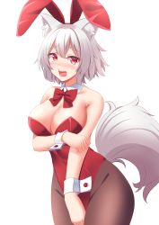 Rule 34 | 1girl, absurdres, animal ear fluff, animal ears, asahina mikuru, asahina mikuru (cosplay), bare shoulders, bow, bowtie, breasts, brown pantyhose, cleavage, commentary request, cosplay, detached collar, fake animal ears, highres, inubashiri momiji, large breasts, leotard, looking at viewer, open mouth, pantyhose, playboy bunny, rabbit ears, red bow, red bowtie, red eyes, red leotard, short hair, solo, suzumiya haruhi no yuuutsu, tail, tokyo yamane, touhou, white hair, wolf ears, wolf girl, wolf tail