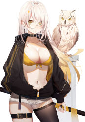 Rule 34 | 1girl, bird, black choker, black jacket, black thighhighs, blonde hair, blush, bra, breasts, choker, cleavage, collarbone, commentary, cowboy shot, hair ornament, hairclip, highres, jacket, kisui (28992125), large breasts, long hair, looking at viewer, monocle, navel, open clothes, open jacket, original, owl, parted lips, round eyewear, short shorts, shorts, simple background, single thighhigh, thighhighs, underwear, white background, white shorts, yellow bra, yellow eyes, zipper, zipper pull tab