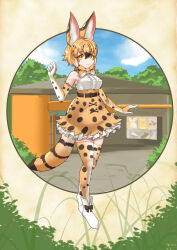 Rule 34 | 1girl, animal ears, blonde hair, bow, bowtie, cat ears, cat girl, cat tail, elbow gloves, extra ears, full body, gloves, highres, kawanami eito, kemono friends, kneehighs, looking at viewer, nature, outdoors, serval (ex4) (kemono friends), serval print, shirt, shoes, short hair, skirt, sleeveless, sleeveless shirt, socks, solo, tail, yellow eyes