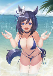 Rule 34 | 1girl, animal ears, beach, bikini, black hair, blue bikini, blue choker, blue ribbon, blue sky, blush, bow, breasts, choker, cloud, collarbone, commentary request, day, ear ribbon, eishin flash (umamusume), fingernails, hair between eyes, highres, horse ears, horse girl, horse tail, large breasts, looking at viewer, ocean, open mouth, outdoors, partially submerged, rainbow, ribbon, sky, smile, solo, swimsuit, tail, teeth, umamusume, upper teeth only, vococo, water, wet