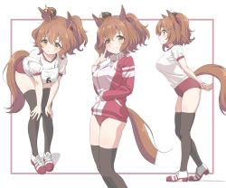 Rule 34 | 1girl, absurdres, animal ears, aston machan (umamusume), bent over, black thighhighs, blush, breasts, brown hair, buruma, closed mouth, commentary request, crown, gym shirt, gym uniform, hair between eyes, highres, horse ears, horse girl, horse tail, jacket, large breasts, mini crown, multiple views, original race uniform (umamusume), parted lips, red buruma, red jacket, shirt, short hair, simple background, sincos, skindentation, smile, standing, tail, thighhighs, thighs, tracen training uniform, track jacket, umamusume, white background, yellow eyes