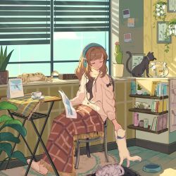 Rule 34 | 1girl, bad id, bad twitter id, blanket, bowl, brown hair, cat, chair, clock, closed eyes, closed mouth, coffee, coffee mug, cup, digital clock, facing away, fish, fishbowl, hanging plant, highres, indoors, mixkechin, mug, original, pet bowl, photo (object), plant, potted plant, scenery, shade, shelf, sitting, slippers, smile, solo, table, white footwear, window blinds