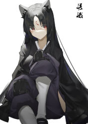 Rule 34 | 1girl, absurdres, animal ears, arknights, black hair, black kimono, breasts, closed mouth, dog ears, dog girl, facial mark, forehead mark, highres, hip vent, japanese clothes, kimono, knee pads, knee up, long hair, looking at viewer, medium breasts, pants, parted bangs, purple pants, qtian, red eyes, saga (arknights), simple background, sitting, translation request, very long hair, white background