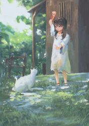 Rule 34 | 1girl, absurdres, arm up, brown eyes, brown hair, building, cat, day, dress, gown, highres, holding, long hair, original, outdoors, rural, saisho (qpoujr), sandals, solo, white cat