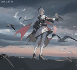 Rule 34 | 1girl, absurdres, animal, animal request, arknights, arm strap, bandolier, belt, bird, bird on hand, black belt, black footwear, black gloves, black jacket, black wings, blurry, blurry background, boots, breasts, bullet, capelet, closed mouth, cloud, cloudy sky, commentary, cross, cross earrings, cross scar, dated, depth of field, dusk, earrings, expressionless, eyelashes, feathered wings, floating clothes, floating hair, fold-over boots, from side, full body, gloves, grey eyes, grey hair, hair intakes, hand up, head wings, high collar, highres, horizon, irene (arknights), jacket, jewelry, latin cross, legs, legs apart, long hair, long sleeves, looking at viewer, looking to the side, miniskirt, motion blur, multicolored clothes, multicolored skirt, ocean, orange sky, outdoors, outstretched hand, pantyhose, pink ribbon, pink skirt, pleated skirt, puffy long sleeves, puffy sleeves, rapier, ribbon, rock, scabbard, scar, scar across eye, scar on face, seagull, shade, shadow, sheath, sheathed, shoulder strap, skirt, sky, sleeve cuffs, small breasts, solo, standing, straight hair, sword, turtleneck, turtleneck capelet, two-sided fabric, two-sided skirt, two-tone skirt, variant set, very long hair, waist cape, water, weapon, white capelet, white pantyhose, white skirt, wings, yibanmaotou