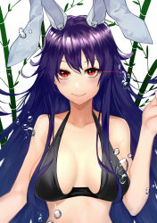 Rule 34 | 1girl, absurdres, animal ears, bad id, bad pixiv id, bamboo, bare shoulders, bikini, black bikini, blush, breasts, cleavage, closed mouth, collarbone, commentary request, diffraction spikes, eyebrows hidden by hair, glint, halterneck, highres, kurogane tekki, large breasts, long hair, looking at viewer, purple hair, rabbit ears, red eyes, reisen udongein inaba, smile, solo, swimsuit, touhou, upper body, water drop, white background