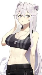 Rule 34 | 1girl, absurdres, ahoge, animal ears, breasts, cleavage, collarbone, dog tags, drying, female focus, grey eyes, grey hair, hair between eyes, highres, hololive, large breasts, lion ears, long hair, looking at viewer, navel, parted lips, shishiro botan, shishiro botan (button-down), simple background, solo, sports bra, stomach, tostantan, towel, upper body, virtual youtuber, white background