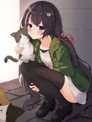 Rule 34 | 1girl, absurdres, animal, backlighting, black footwear, black hair, black thighhighs, blurry, blurry background, blush, breasts, cat, cat hair ornament, closed mouth, depth of field, dress, green jacket, hair ornament, hair ribbon, hairclip, highres, holding, holding animal, jacket, karyl (princess connect!), karyl (real) (princess connect!), long hair, long sleeves, looking at viewer, mizu (lzzrwi603), multicolored hair, open clothes, open jacket, princess connect!, purple eyes, purple hair, red ribbon, ribbon, shoes, small breasts, solo, squatting, streaked hair, thighhighs, twintails, very long hair, white dress