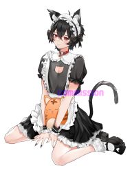 Rule 34 | 1boy, absurdres, animal ears, apron, bell, blush, brown hair, cat boy, cat ears, cat tail, collar, crossed arms, dream e, highres, looking at viewer, maid, maid apron, maid headdress, neck bell, p0nsea, pale skin, pipoyo (vtuber), red eyes, tail, virtual youtuber