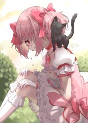 Rule 34 | 1girl, :3, animal, animal on shoulder, asukaru (magika ru), black cat, blurry, blurry background, cat, cat on shoulder, closed eyes, crying, from side, gloves, highres, kaname madoka, knees up, looking at viewer, magical girl, mahou shoujo madoka magica, mahou shoujo madoka magica (anime), outdoors, pink eyes, pink hair, sitting, tears, twintails, white gloves