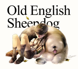 Rule 34 | 1boy, book, child, dog, english text, hat over eyes, leaf, male focus, necktie, noeyebrow (mauve), old english sheepdog, open mouth, original, shorts, simple background, sitting, solo, suspenders, tongue, tongue out, white background