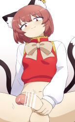 Rule 34 | 1futa, :3, animal ears, bonobo (odenokaz), bottomless, breasts, brown eyes, brown hair, cat ears, cat tail, chen, futanari, highres, looking at viewer, medium hair, multiple tails, penis, small breasts, tail, testicles, touhou