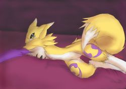 Rule 34 | 1girl, animal ears, animal nose, artist name, bed sheet, black sclera, blue eyes, body fur, claws, colored sclera, digimon, digimon (creature), elbow gloves, eryz, female focus, flat chest, fox ears, fox girl, fox tail, furry, furry female, gloves, highres, jpeg artifacts, leg tattoo, looking at viewer, lying, on bed, on side, purple background, purple gloves, pussy, renamon, signature, simple background, sketch, snout, solo, stomach, tail, tattoo, two-tone fur, uncensored, white fur, yellow fur